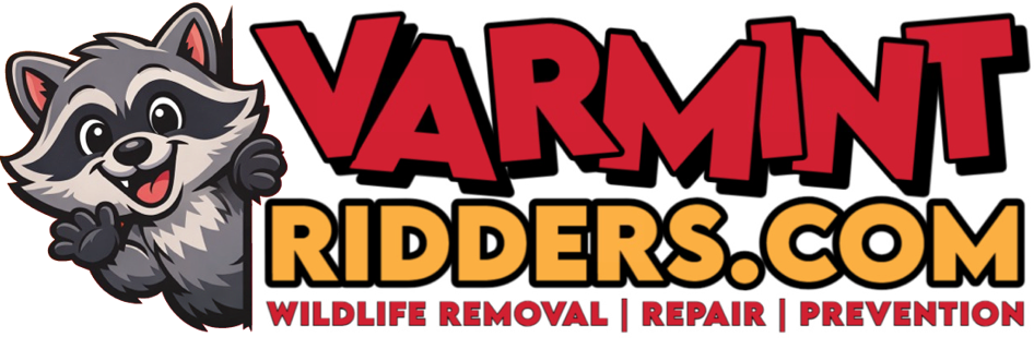 Varmint Ridders - Wildlife Removal